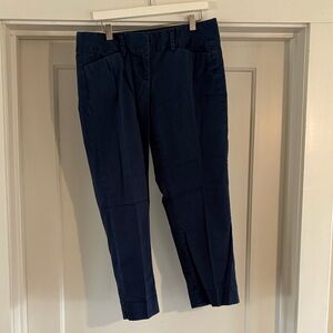 Ann Taylor Navy Ankle Pants
